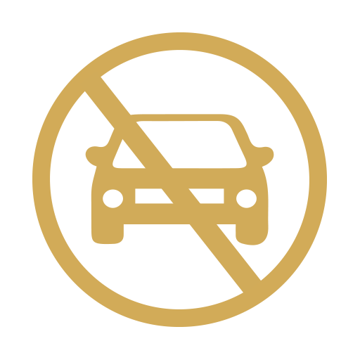 Imagen de Restricción Vehicular