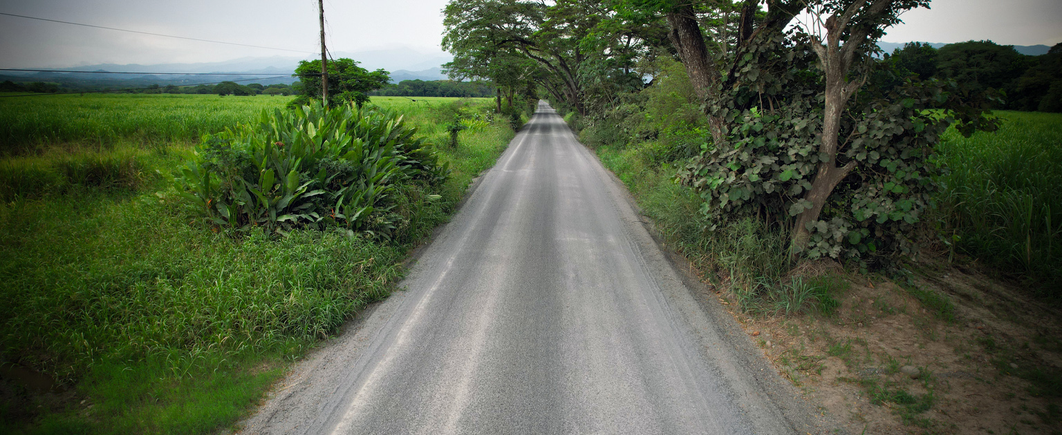 Fotografía que muestra parte de la ruta intervenida