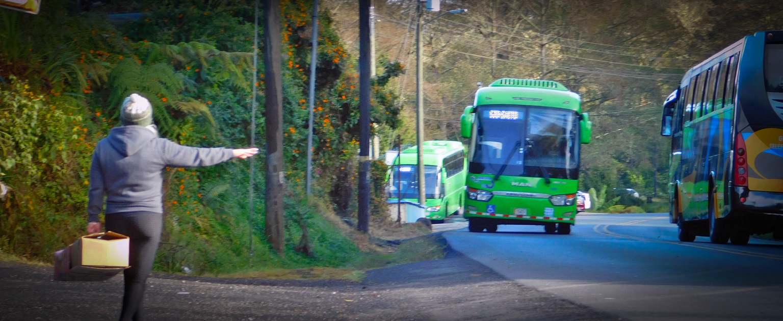 Fotografía que muestra a una persona haciendo parada a un autobús