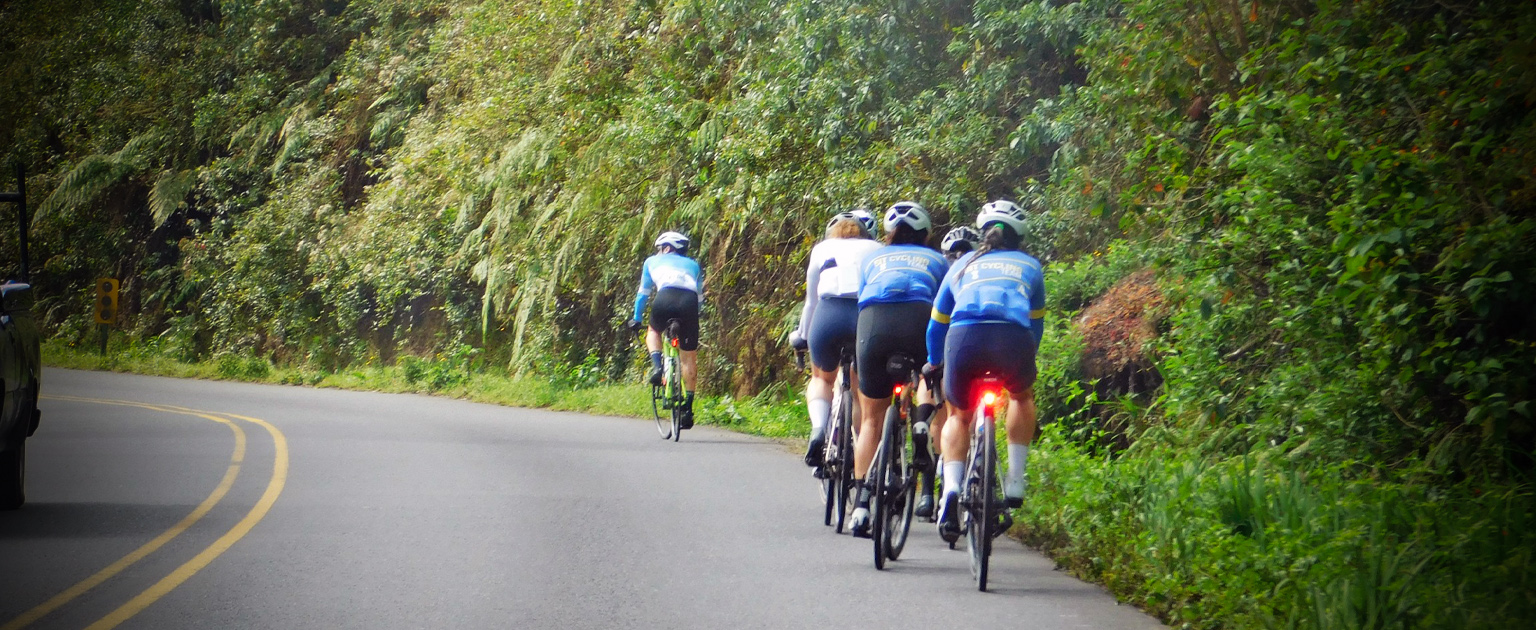 Ciclistas en carretera