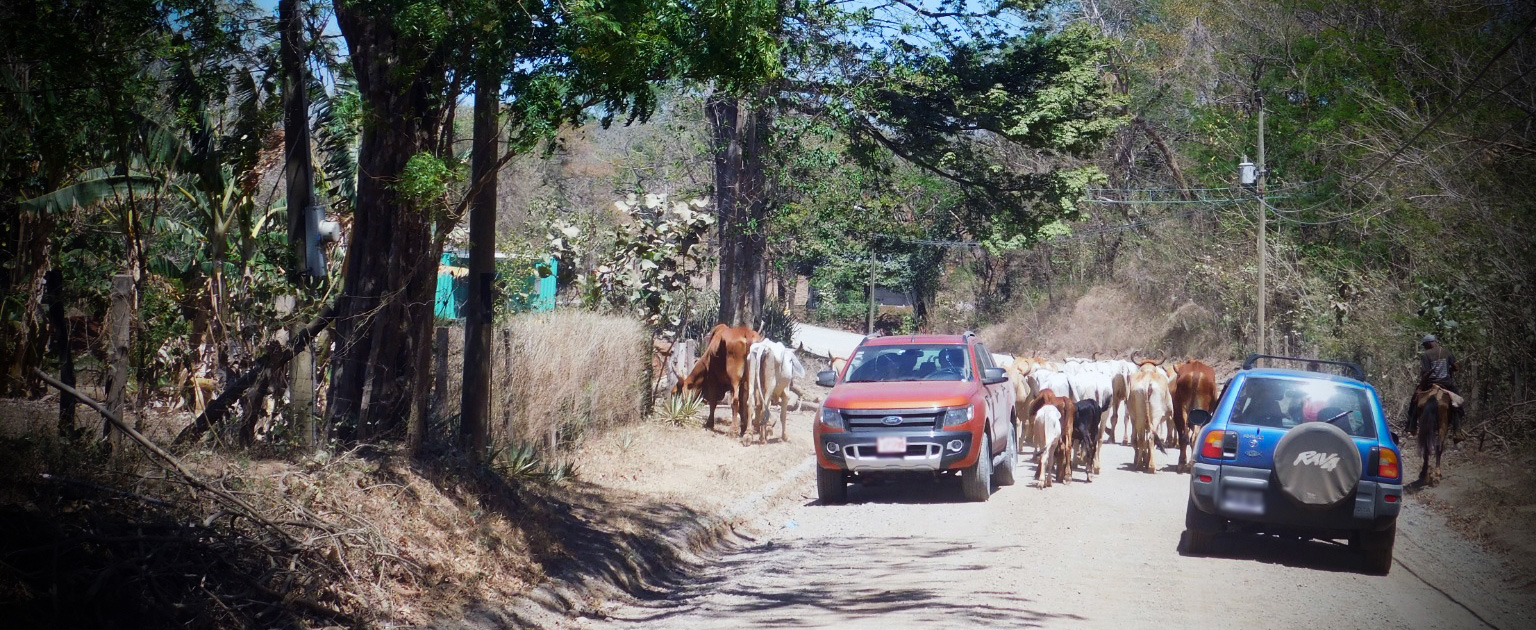 Fotografía que muestra parte de la ruta a intervenir.