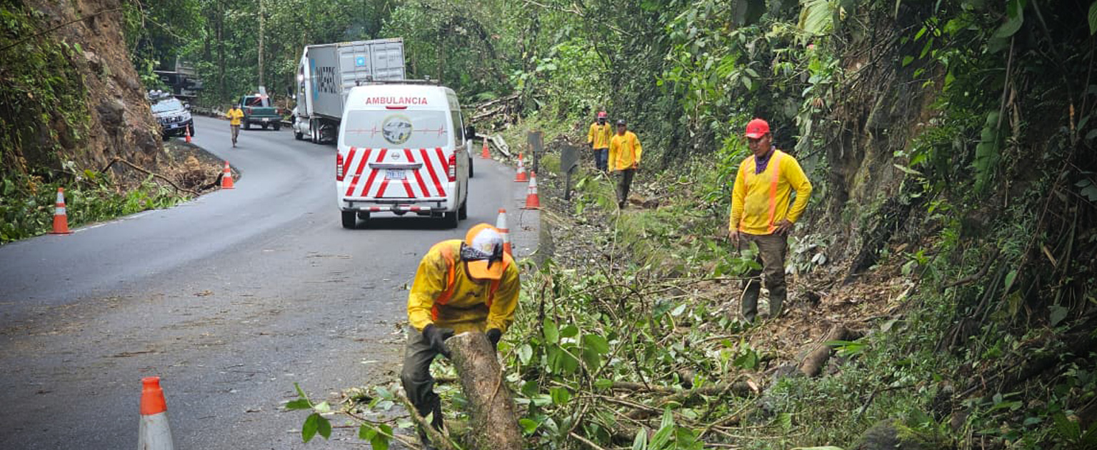 Trabajadores cortando árboles y recogiendo hojas y ramas al lado del derecho de vía 