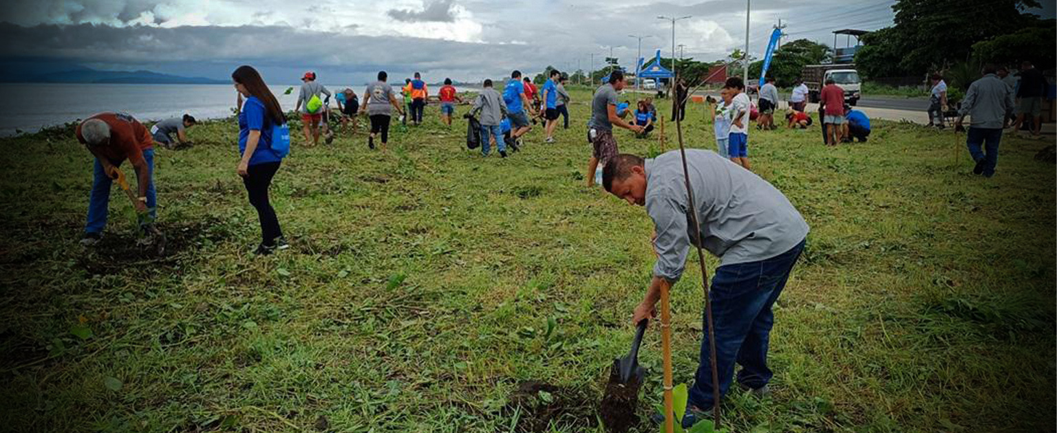 Foto de siembra de árboles en La Angostura, Puntarenas 