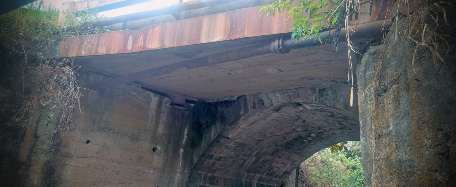 Foto de la parte inferior del puente sobre el río Damas. 