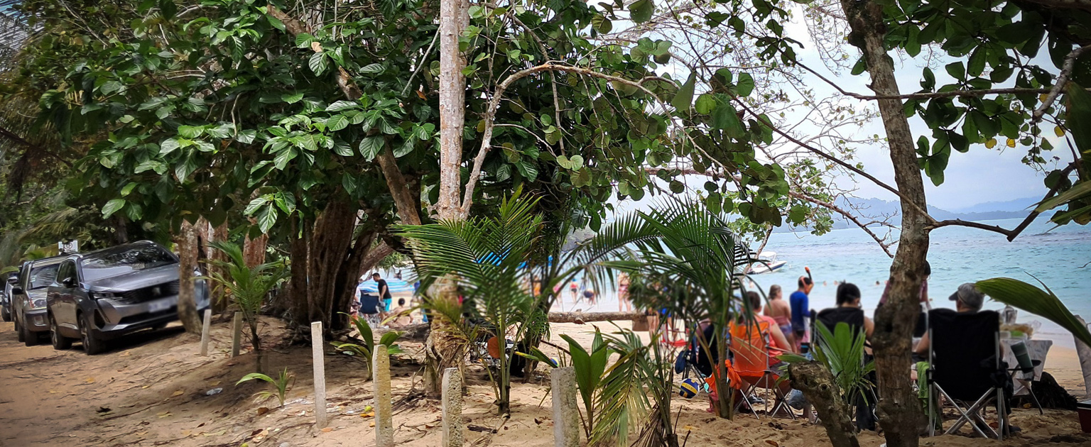 Foto de playa donde es prohibido ingresar con vehículos 