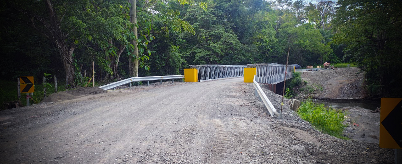 Calle que da puente peatonal.
