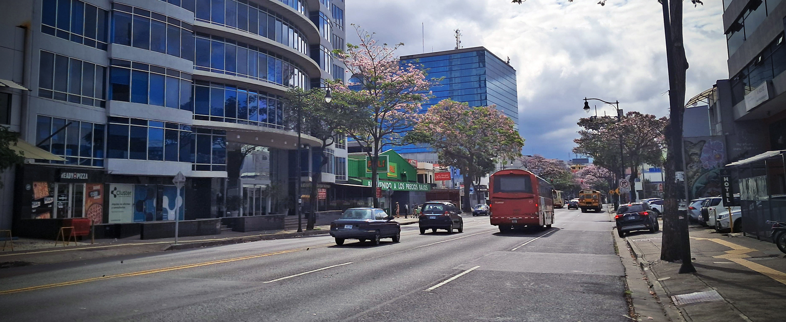 Foto de paseo Colón, vehículos y autobuses en carretera.