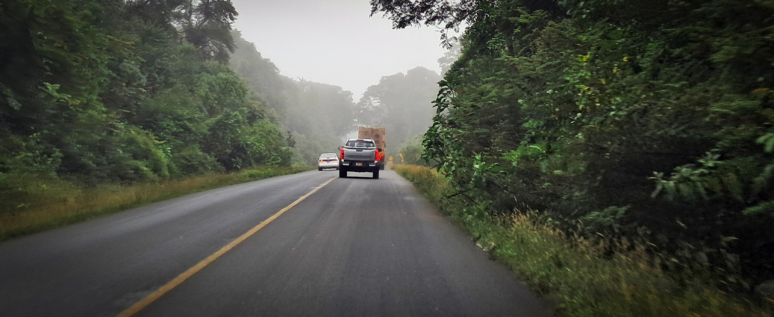 Carretera de dos carriles atravesando una zona boscosa densa, con vehículos circulando y presencia de neblina que reduce la visibilidad, rodeada de vegetación abundante a ambos lados.