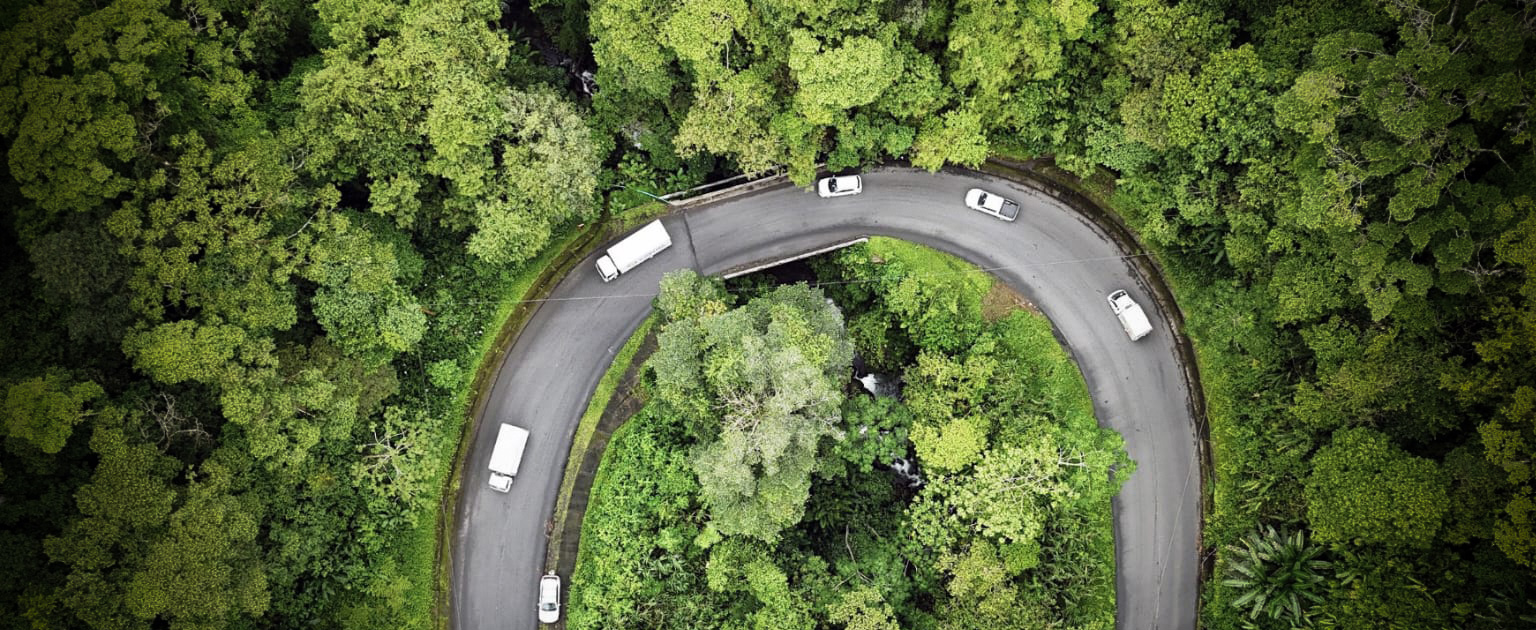 Fotografía aérea que muestra el puente rodeado de vegetación y con vehículos circulando