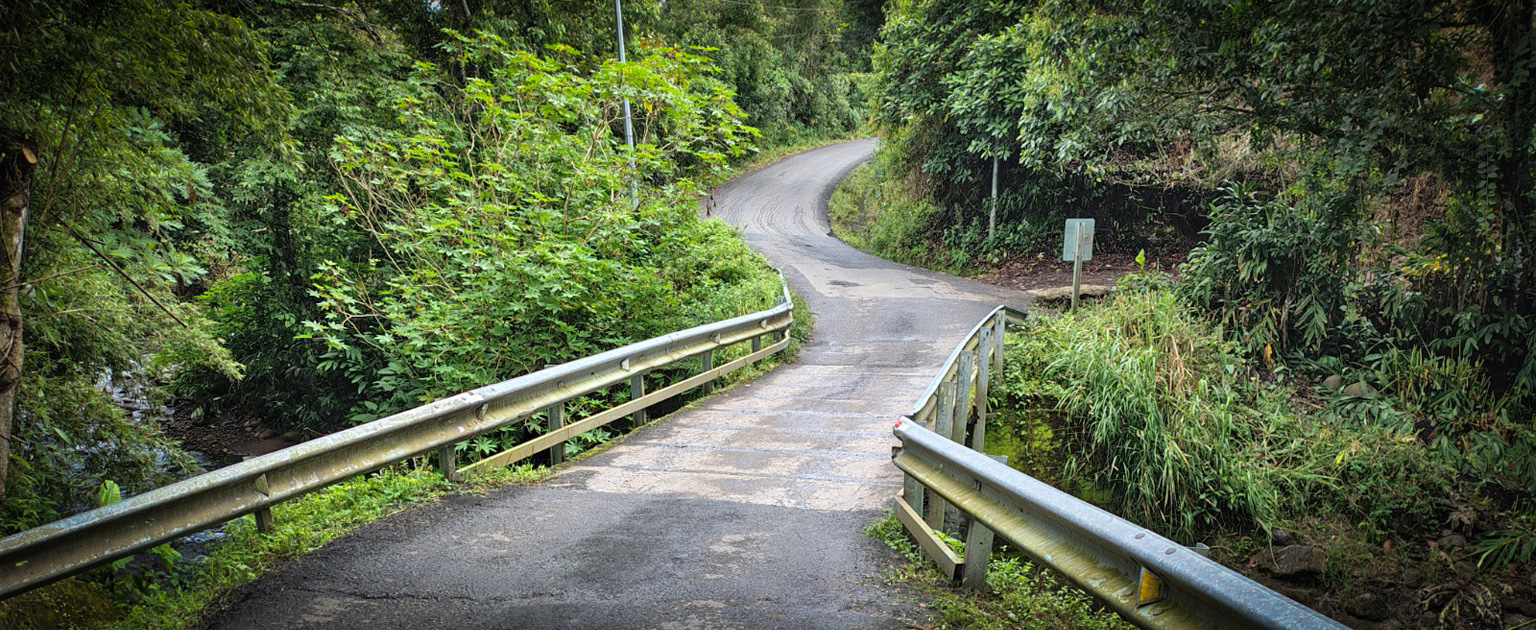 Puente vehicular angosto sobre la quebrada Palma en Dulce Nombre de Coronado, con barandas metálicas y rodeado de vegetación densa en un entorno montañoso