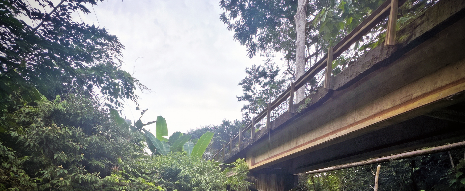 Fotografía que muestra estructura sobre el río Rito que será sustituida