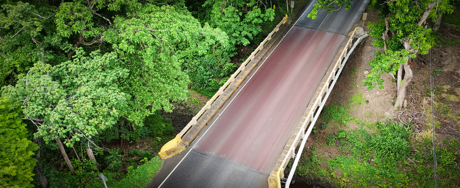 ista aérea del actual puente Sonzapote sobre la ruta nacional uno rodeada de abundante vegetación. La estructura de dos carriles cruza un pequeño cauce y presenta barandas de protección a ambos lados. 